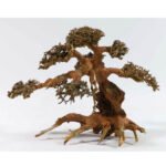 Aqua-Bonsai L
